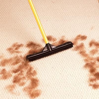2-in-1 Rubber Pet Hair Broom & Floor Squeegee