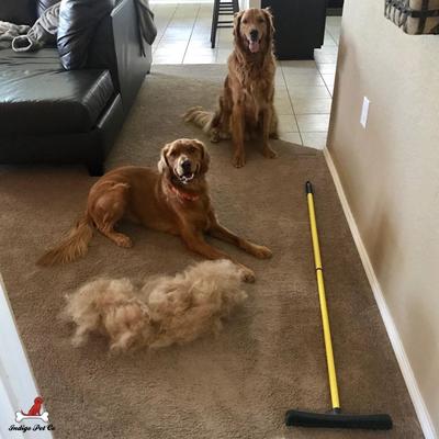 2-in-1 Rubber Pet Hair Broom & Floor Squeegee