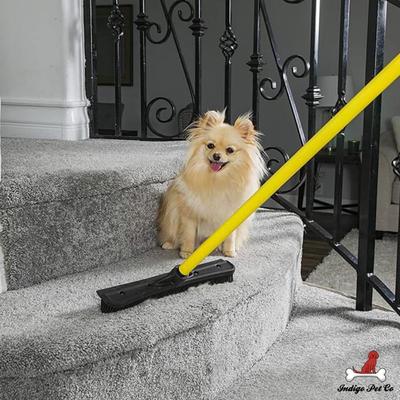 2-in-1 Rubber Pet Hair Broom & Floor Squeegee